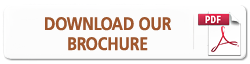 download-brochure.png